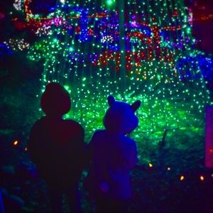 Meet your Posher, Desiree